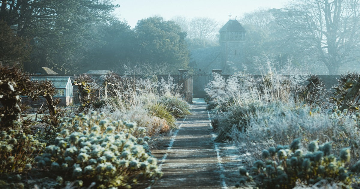 How To Control Insect Pests In The Winter