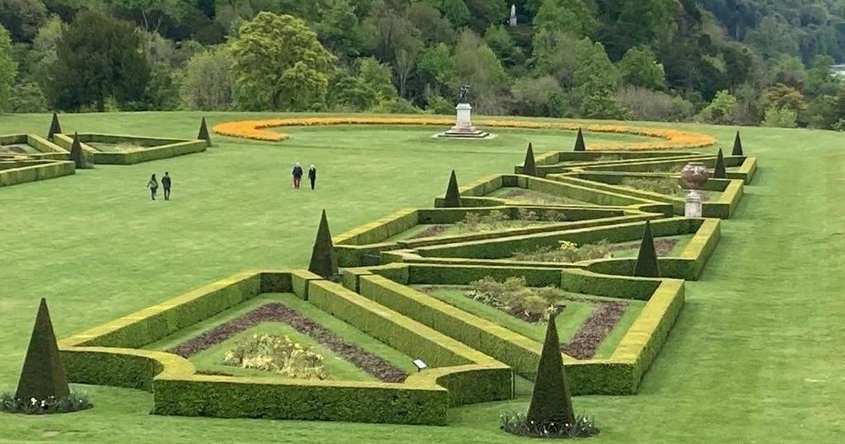 Prepare to protect your Box hedges and plants - Dragonfli