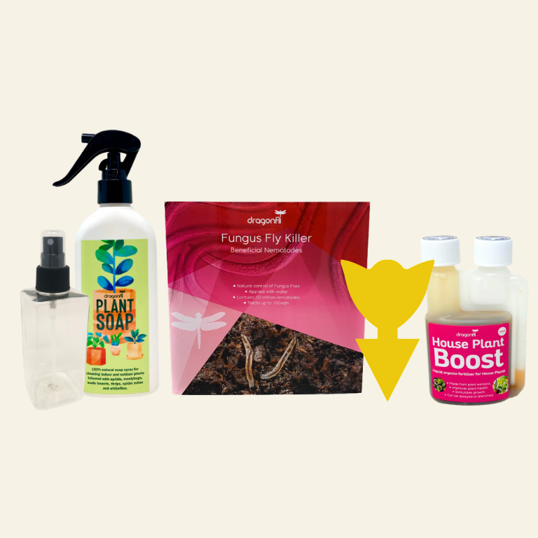 spray for house plant flies House Plant Care Bundle: Fungus Fly Nematodes, Sticky Traps, House Pla