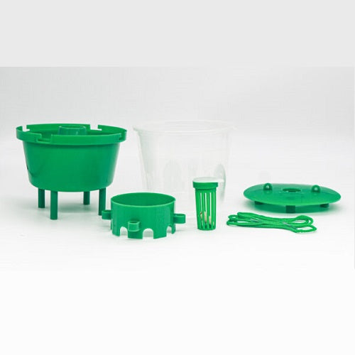 Horse Chestnut Leaf Miner Pheromone Trap Dragonfli