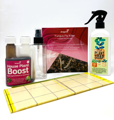 House Plant Mister / Trigger Sprayer - 200ml Bottle