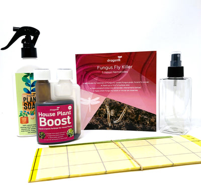 House Plant Mister / Trigger Sprayer - 200ml Bottle