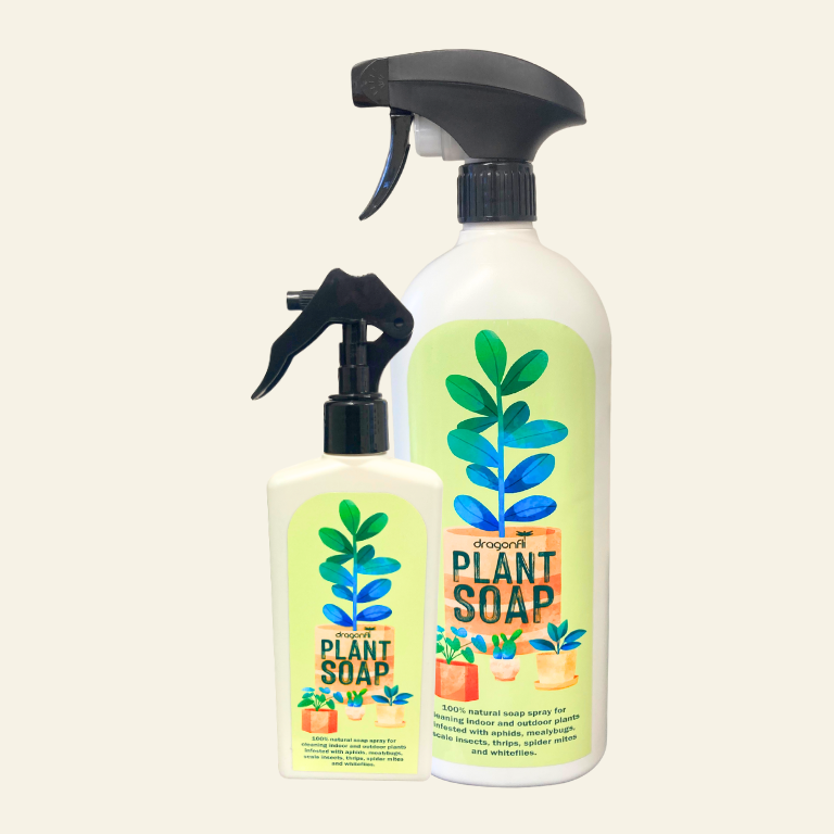 plant soap for indoor plants Dragonfli Plant Soap