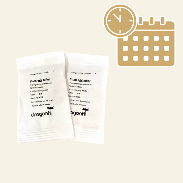 Clothes Moth Egg Killer Sachet Subscriptions (Trichogramma Parasitic W