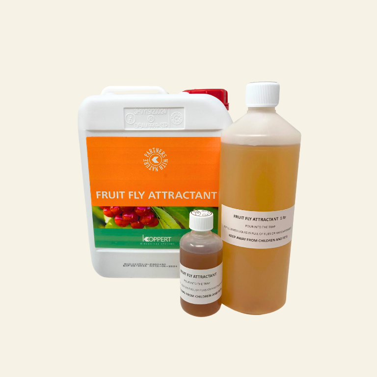 Fly attractant and killer discount