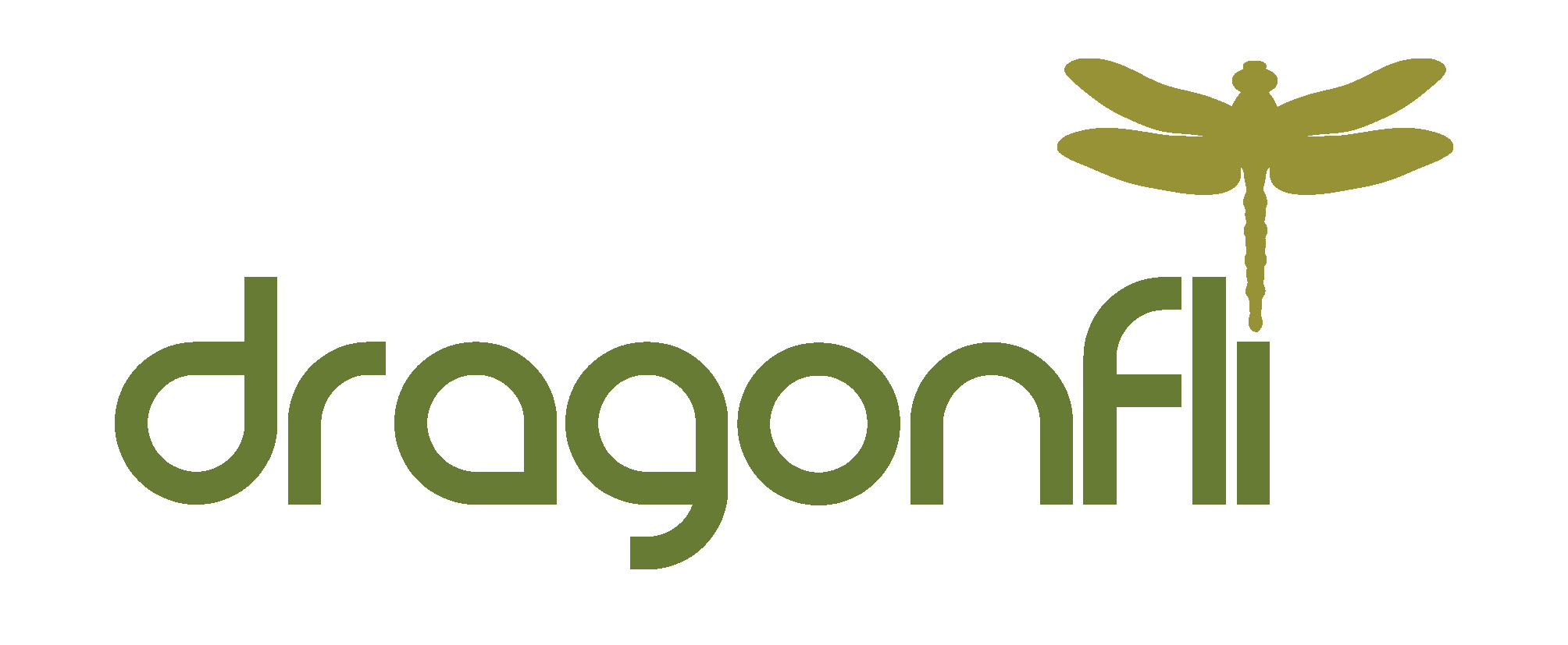 Dragonfli Company Logo