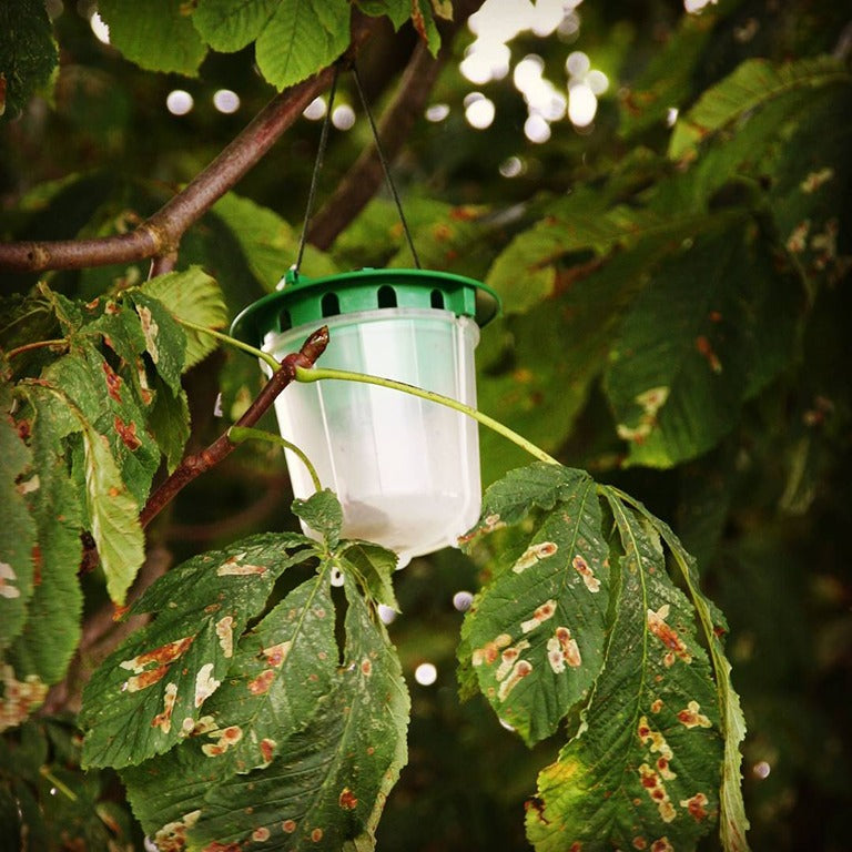 Castellation Trap, Monitor and Trap Small Moths