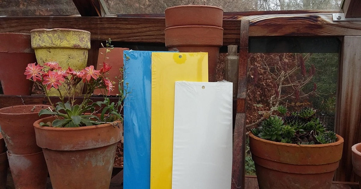 Autumn Cleanups will Pay Dividends in the Spring - Dragonfli