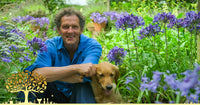 Monty Don Applies Dragonfli's Biological Control Of Fuchsia Gall Mite On BBC Gardeners' World