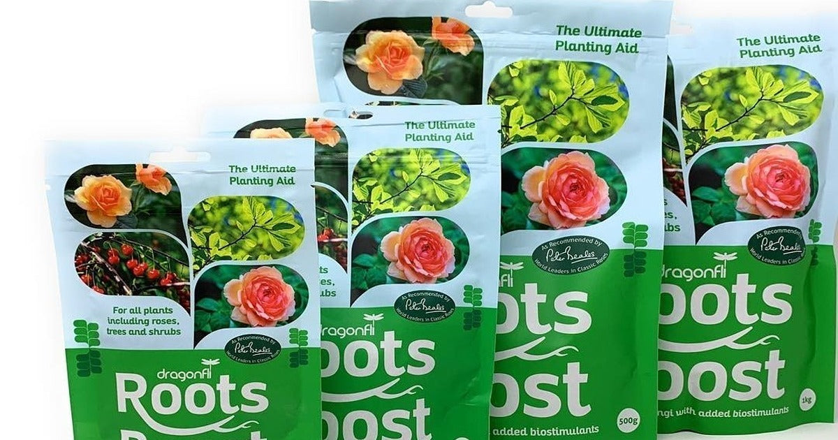 Plant care guides, Bio stimulants & how to protect new Box hedge plants - Dragonfli