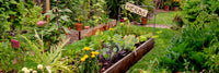 Small Garden Vegetable Bed Care