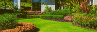 Small Garden Lawn Care