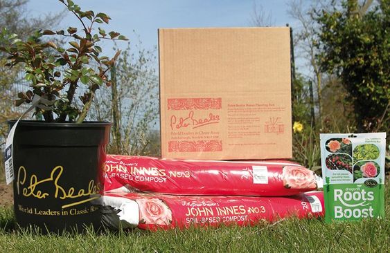 Roots & Soil Boost Bundle