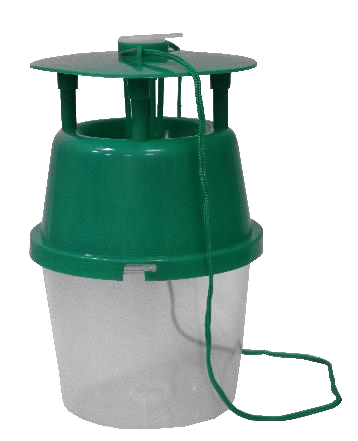 Box Tree Moth Pheromone Trap