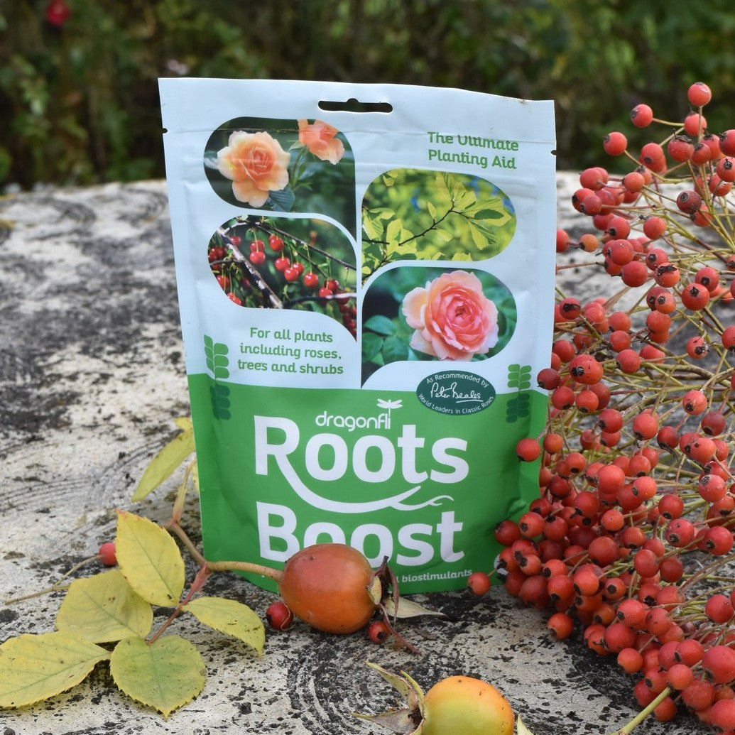 Roots Boost Mycorrhizal Fungi Granules