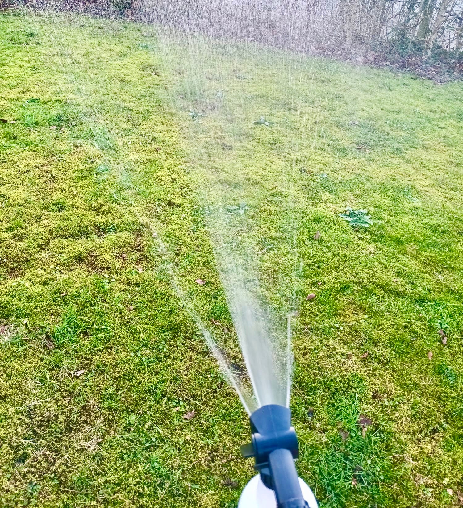 Nemaflo Nematode Soil Penetrant & Carrier