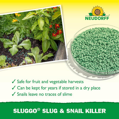 Sluggo Slug & Snail Killer - 1kg