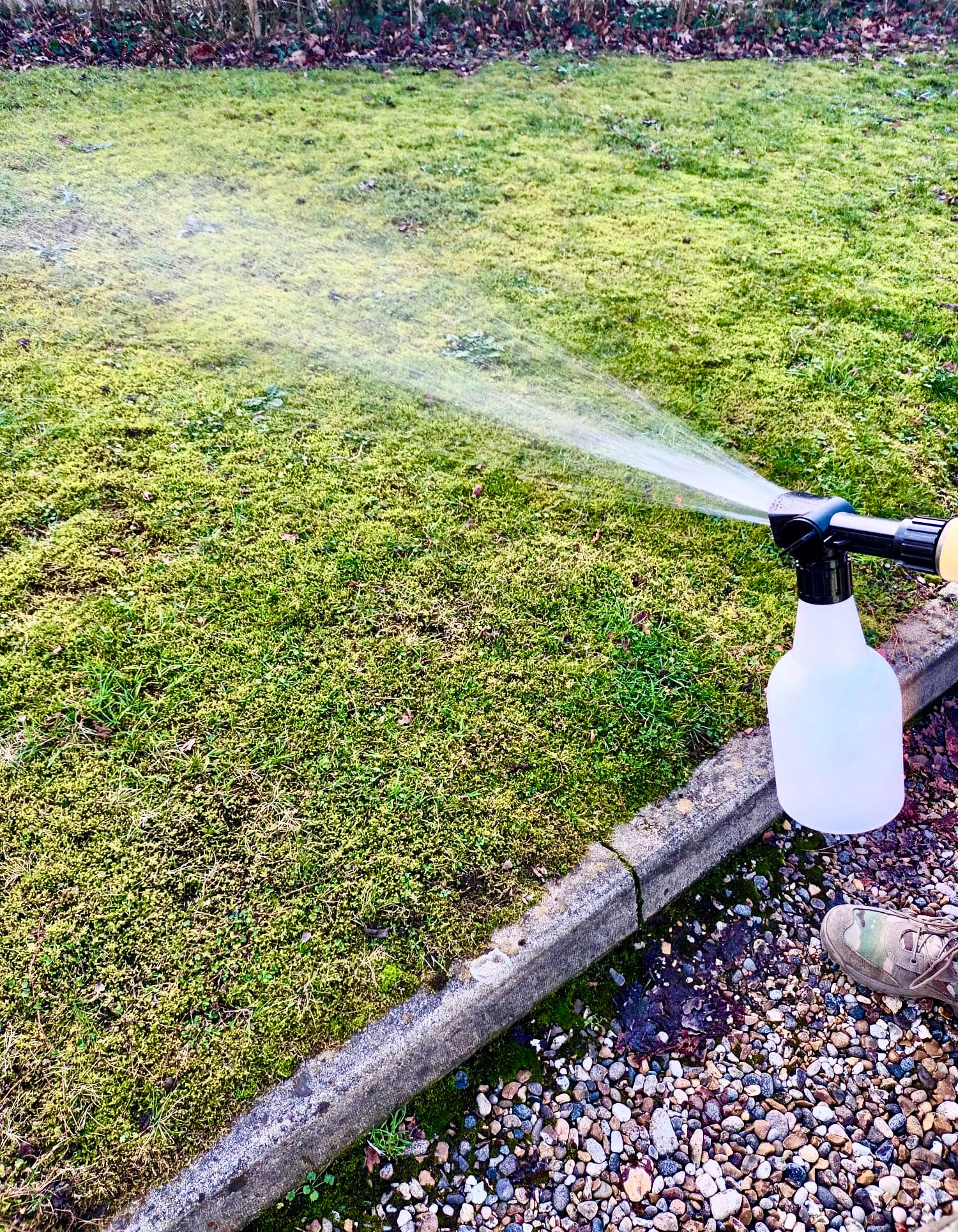 Small Garden Wireworm Killer Nematodes