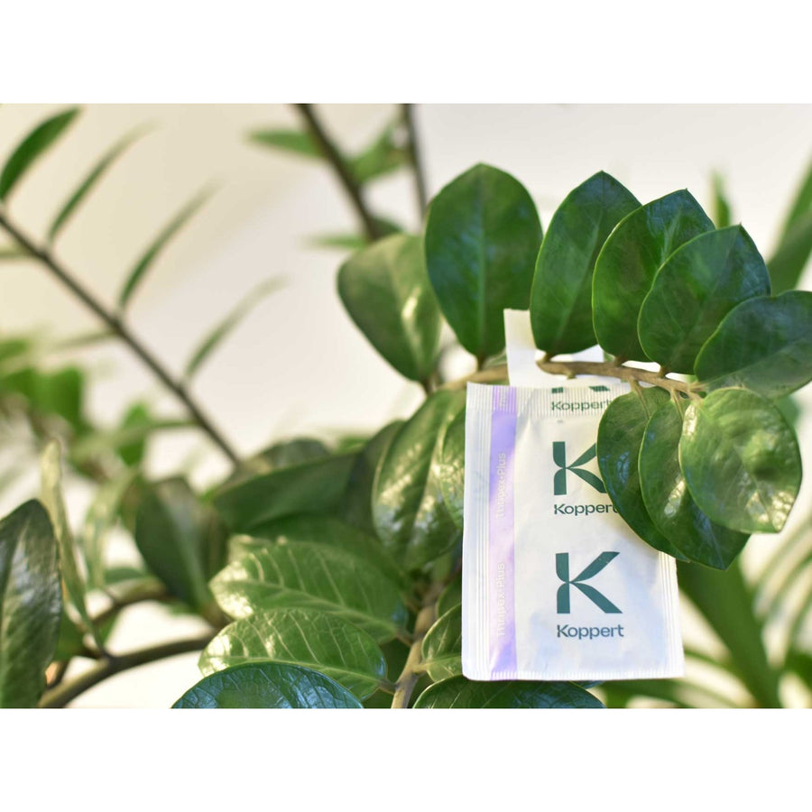 Amblyseius cucumeris Sachets - Thrip Preventative System