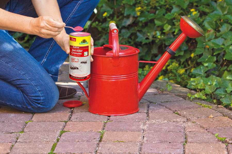 AntFree Ant Killer Granules