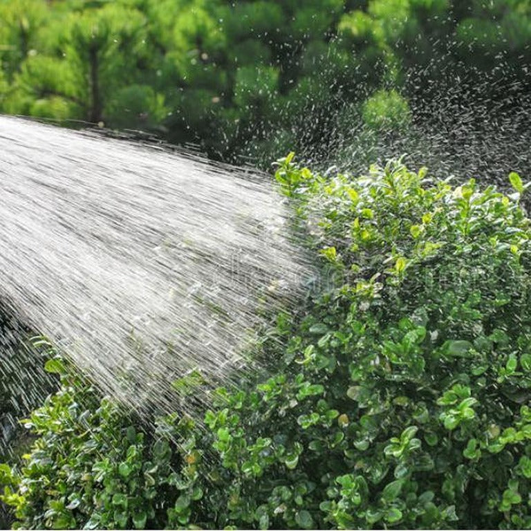 Small Garden Box Tree Caterpillar Killer Nematodes