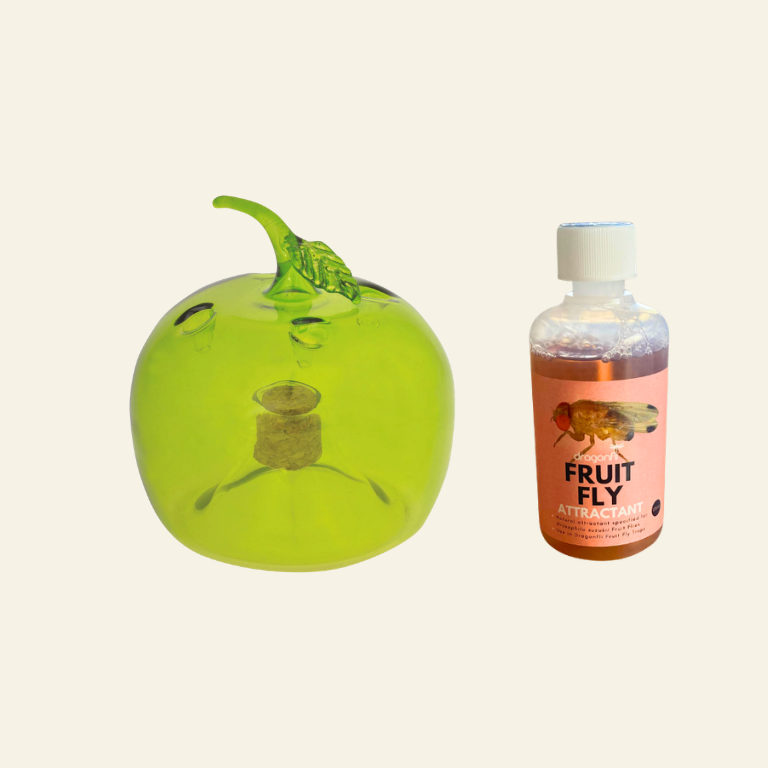 Apple Shaped Fruit Fly Traps (Supplied With Attractant) - For Indoor Use