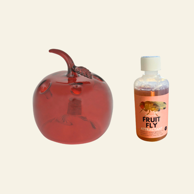 Apple Shaped Fruit Fly Traps (Supplied With Attractant) - For Indoor Use