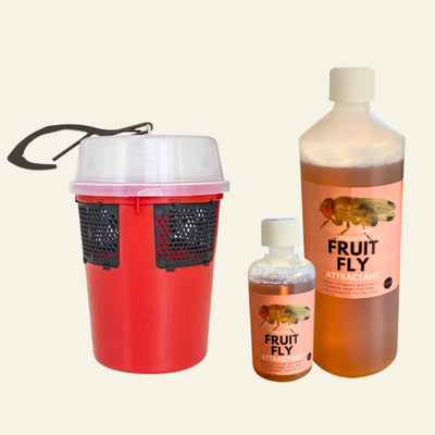Fruit Fly Trap (Supplied With Attractant) - For Outdoor Use