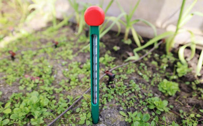 Dragonfli Soil Thermometer