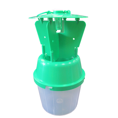 Garden Chafer Beetle Trap Including Attractant Lure