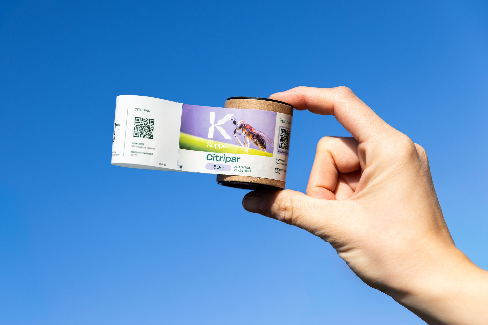 Citripar Mealybug Killer