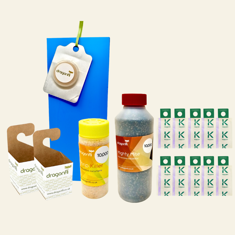 Thrip Control Bundle: Select From Swirskii Or Cucumeris Predators (Bundles Include Mighty Mites, Thrip Sticky Traps & Distribution Boxes)