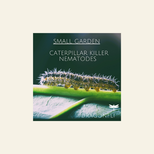 Small Garden Caterpillar Killer Nematodes