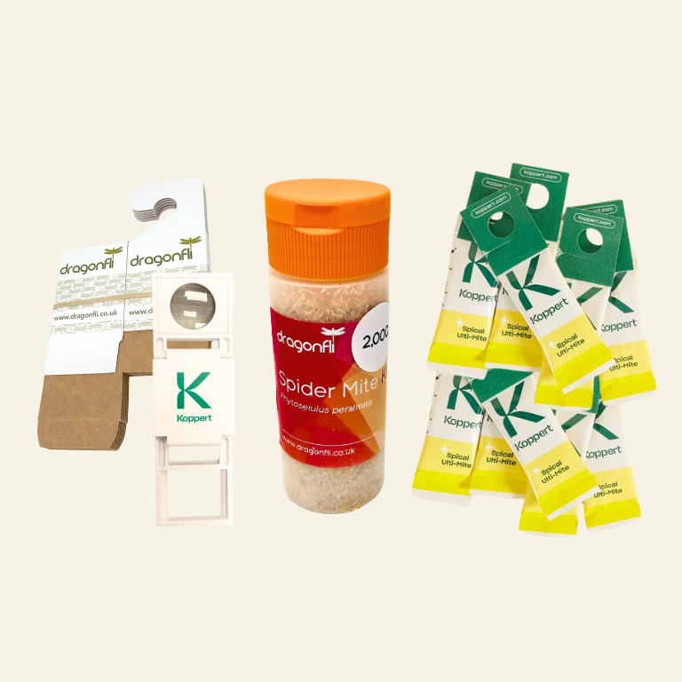 Spider Mite Control Bundle: Californicus, Phytoseiulus, Distribution Boxes & A Free Hand Lens