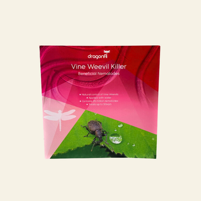 Vine Weevil Killer Nematodes