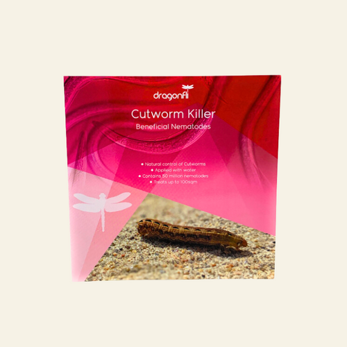 Cutworm Killer Nematodes