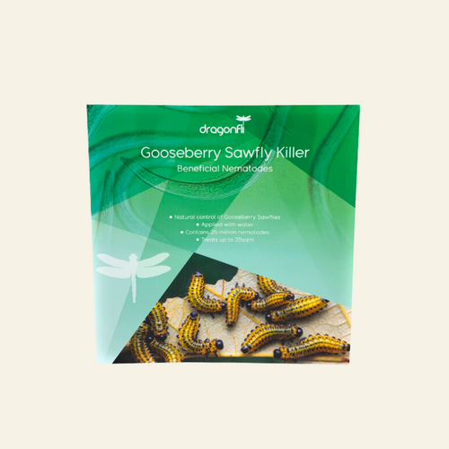 Gooseberry Sawfly Killer Nematodes