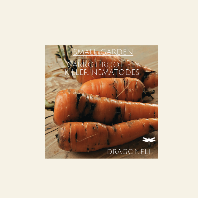 Small Garden Carrot Root Fly Killer Nematodes