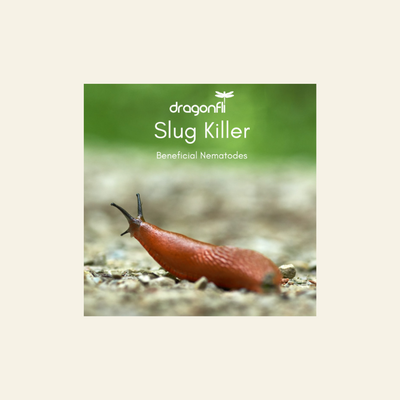 NEW: Slug & Vine Weevil Killer Nematodes Bundle
