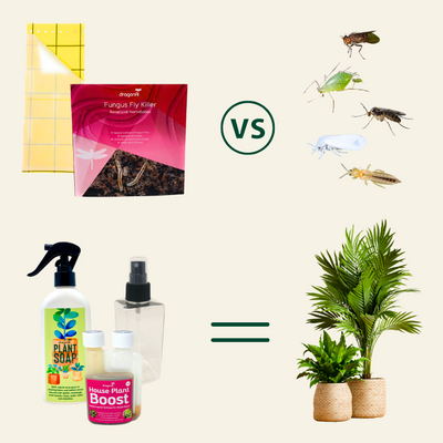 House Plant Care Bundle: Fungus Fly Nematodes, Sticky Traps, House Plant Boost, Plant Soap & A Free House Plant Mister