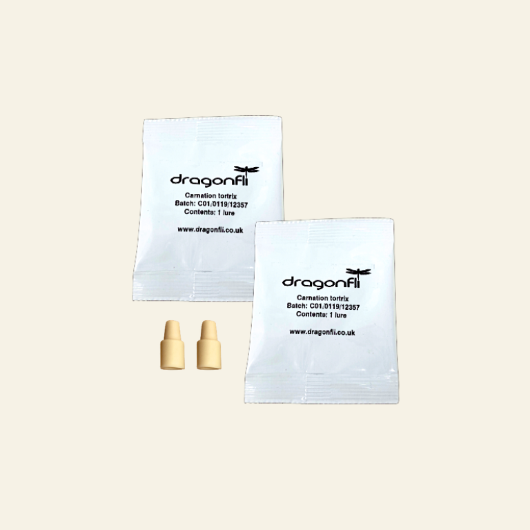 Carnation Tortrix Caterpillar Moth Pheromone Trap