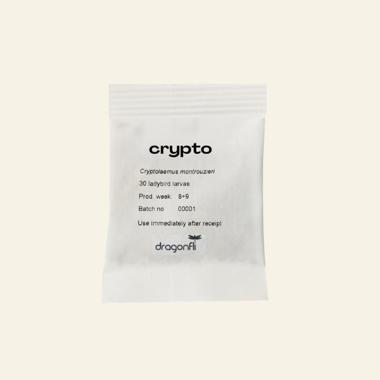 NEW: Mealybug Predator Larvae - Cryptolaemus montrouzieri (Sachets)