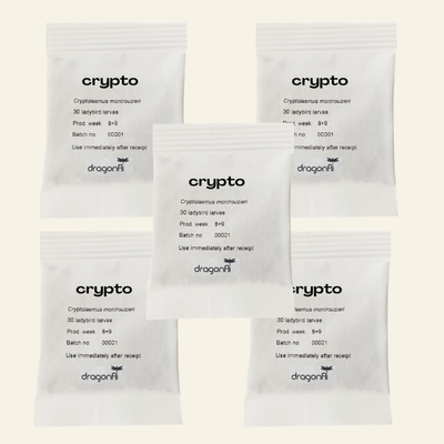 NEW: Mealybug Predator Larvae - Cryptolaemus montrouzieri (Sachets)