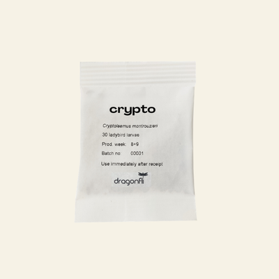 NEW: Mealybug Predator Larvae - Cryptolaemus montrouzieri (Sachets)