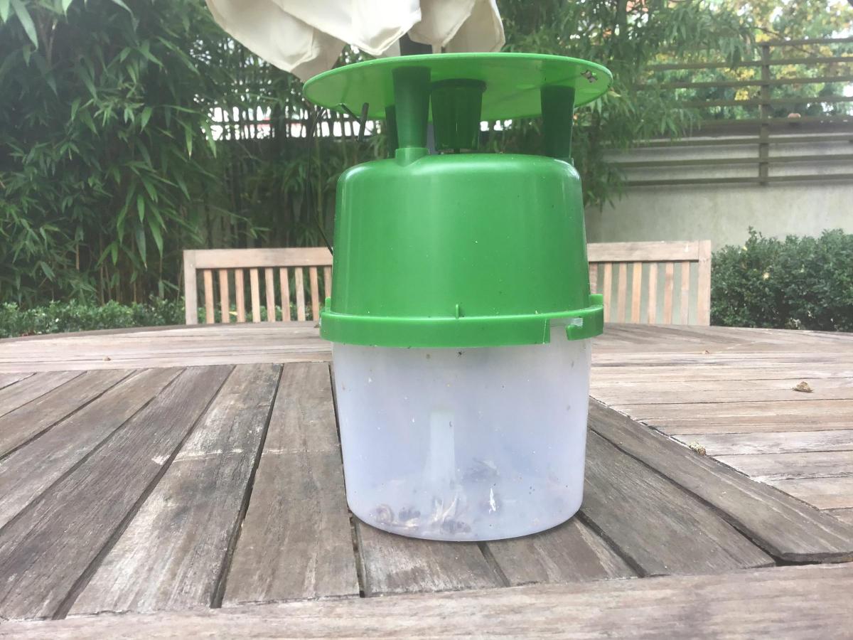 Box Tree Moth Pheromone Trap