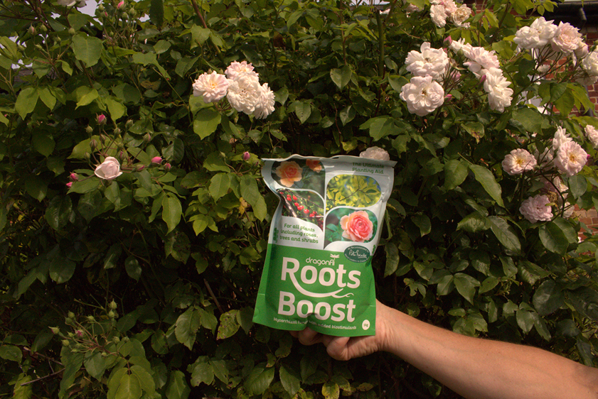 Roots Boost Mycorrhizal Fungi Granules