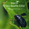 Flea Beetle Killer Nematodes