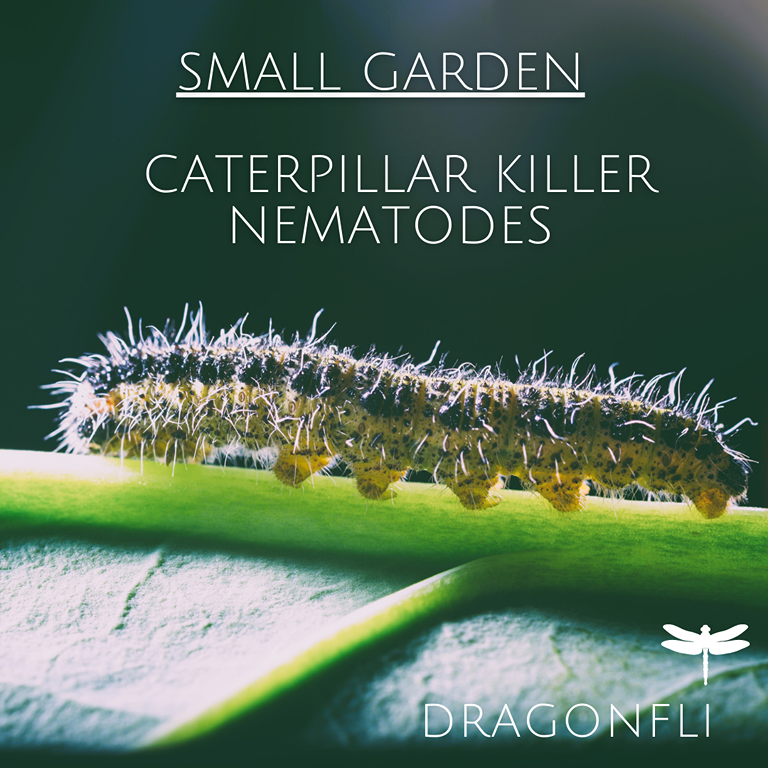 Small Garden Caterpillar Killer Nematodes