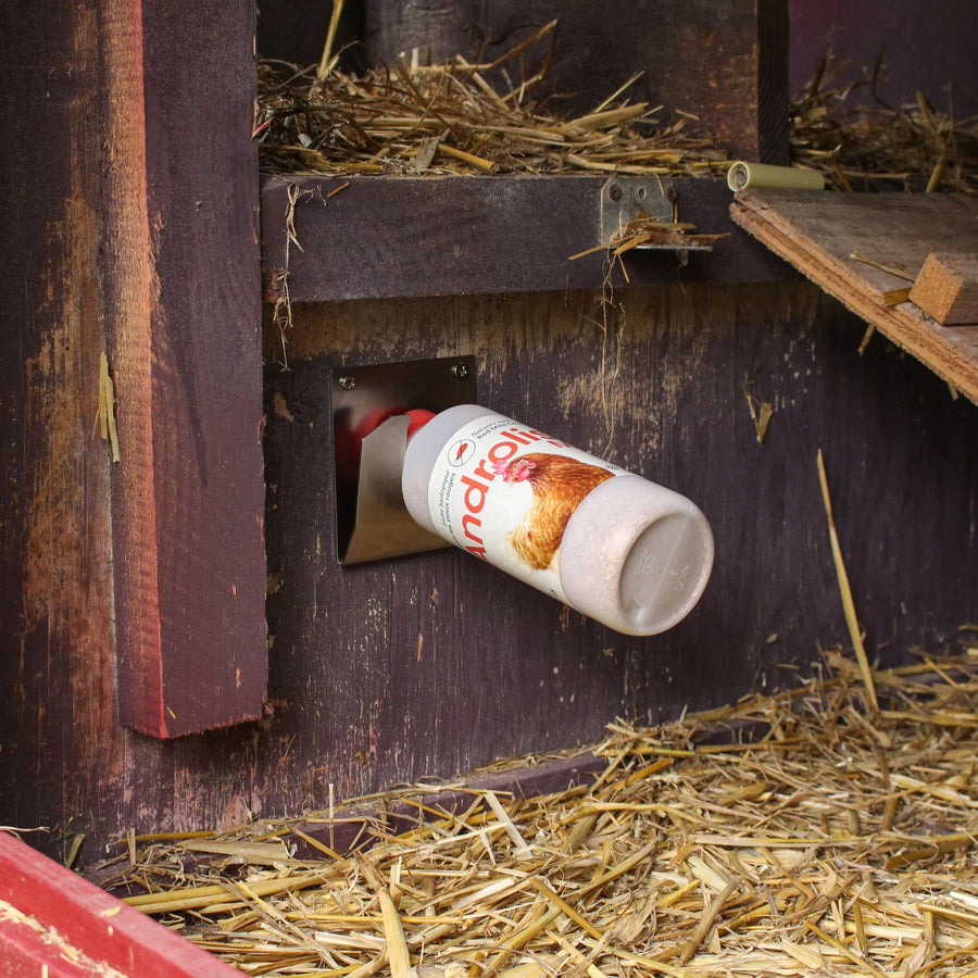 Androlis Chicken Mite Predators