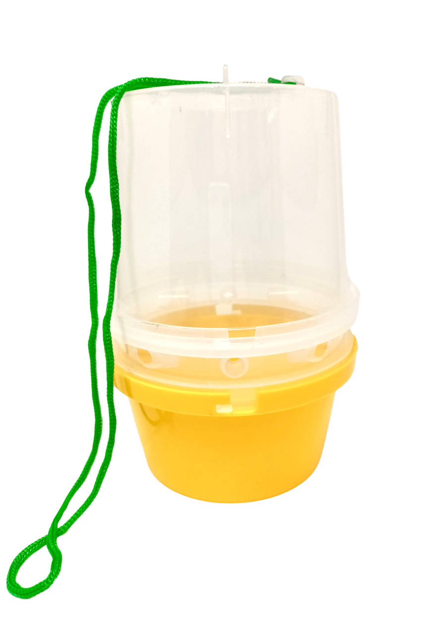 Wasp Trap With Attractant